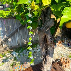 Sweet apple Sun Catcher